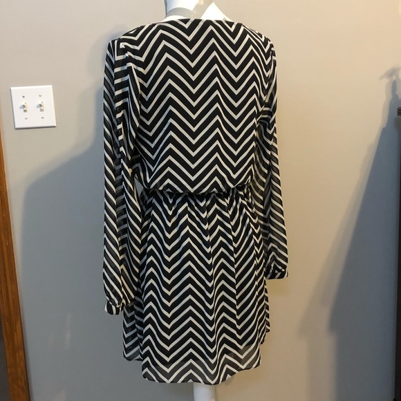 Express Dress - Picture 3 of 3